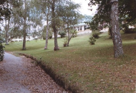 Mature trees in  Sanitorium (Koha Ora) grounds 1975